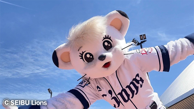 ここに画像が入ります