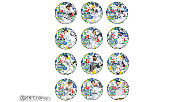 ここに画像が入ります