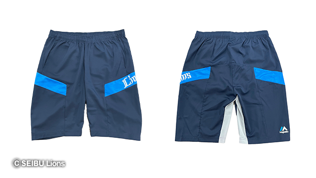 ここに画像が入ります