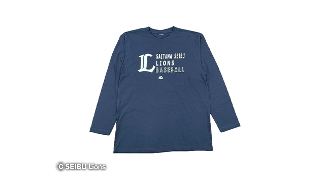 ここに画像が入ります