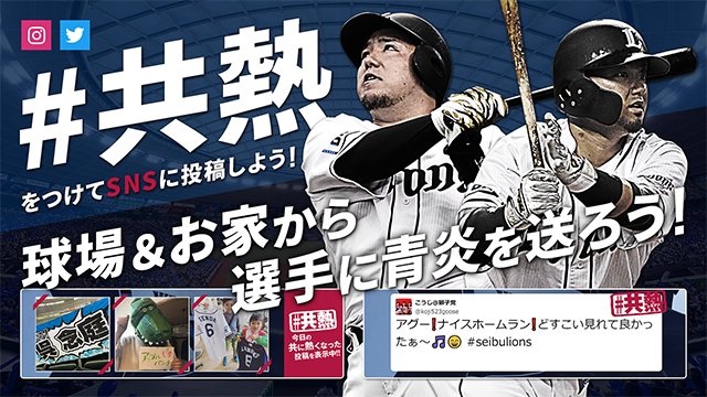 ここに画像が入ります