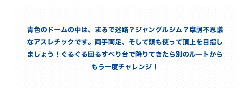 ここに画像が入ります