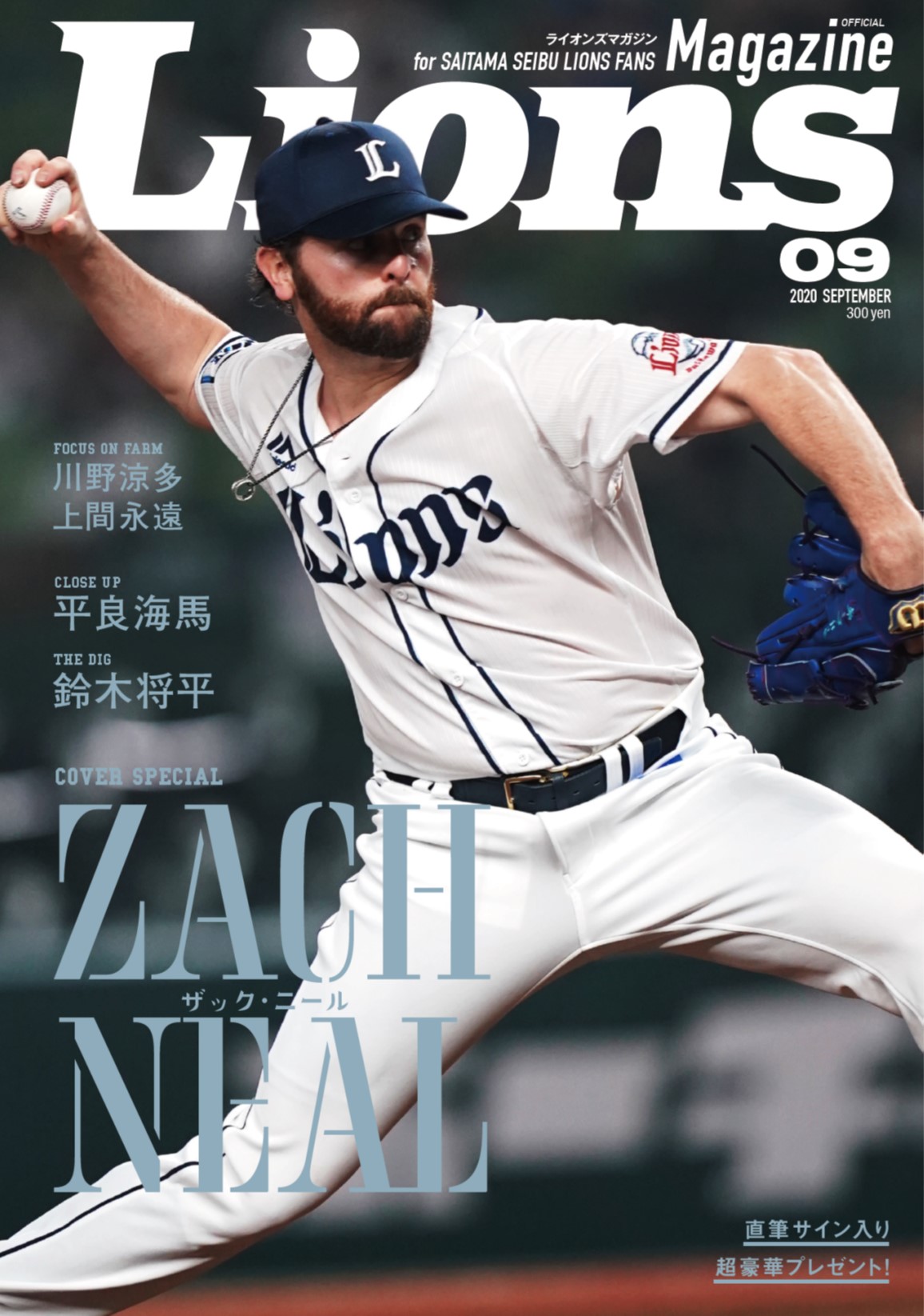 ここに画像が入ります