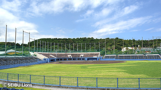 ここに画像が入ります