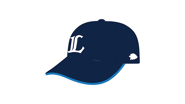 ここに画像が入ります