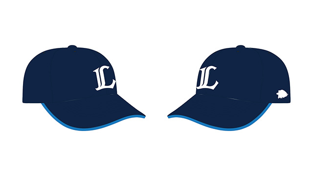 ここに画像が入ります