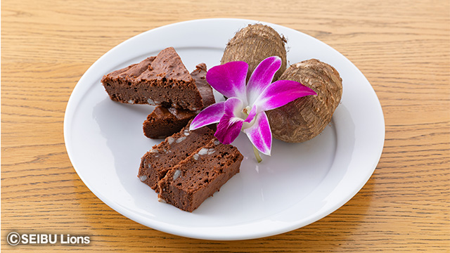 ここに画像が入ります