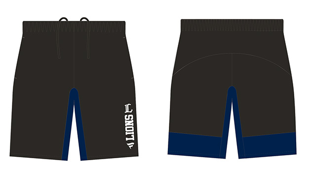 ここに画像が入ります