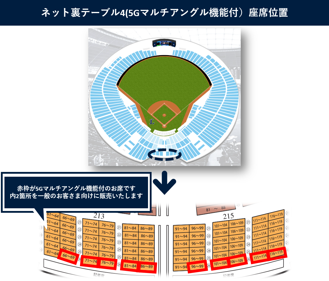 ここに画像が入ります