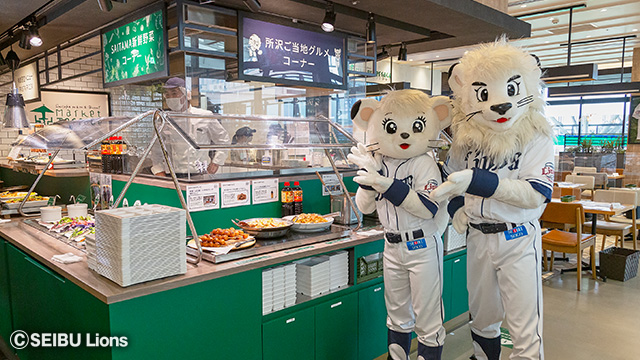 ここに画像が入ります