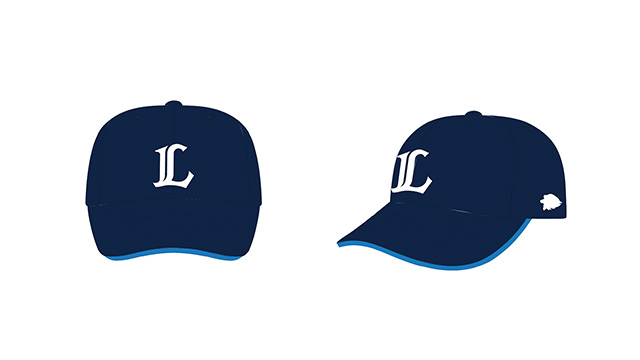 ここに画像が入ります