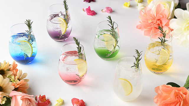 ここに画像が入ります