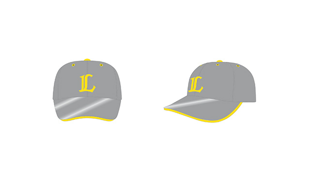 ここに画像が入ります