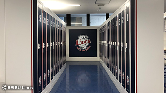 ここに画像が入ります