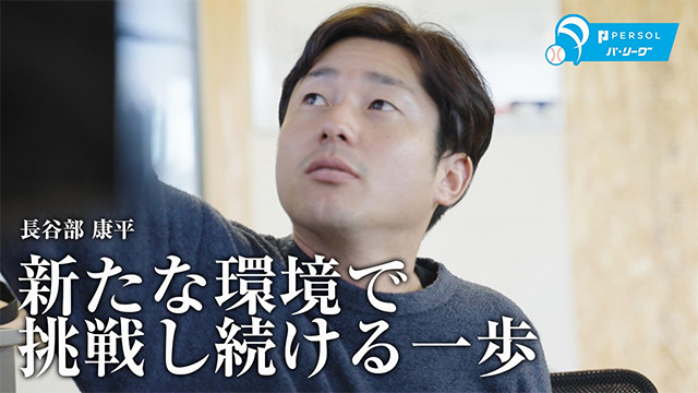 ここに画像が入ります