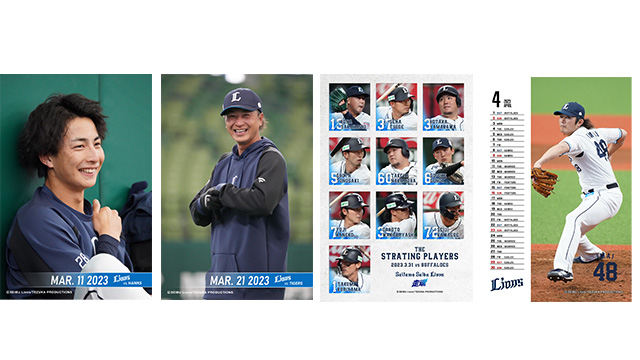 ここに画像が入ります