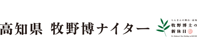 ここに画像が入ります