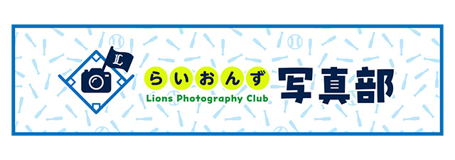 ここに画像が入ります