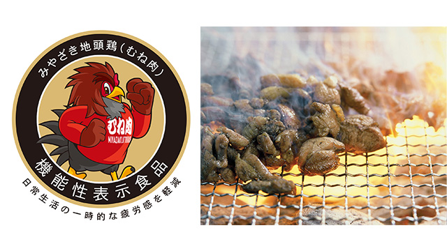 ここに画像が入ります