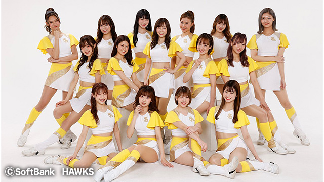 ここに画像が入ります