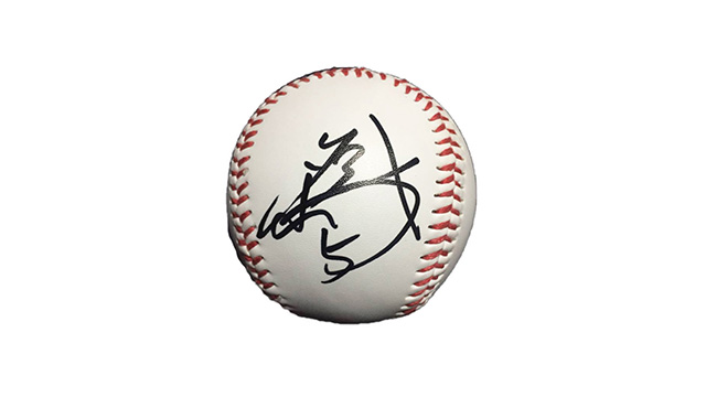 ここに画像が入ります