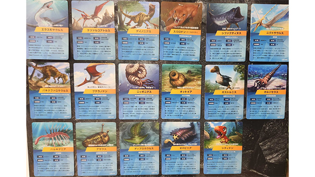 ここに画像が入ります