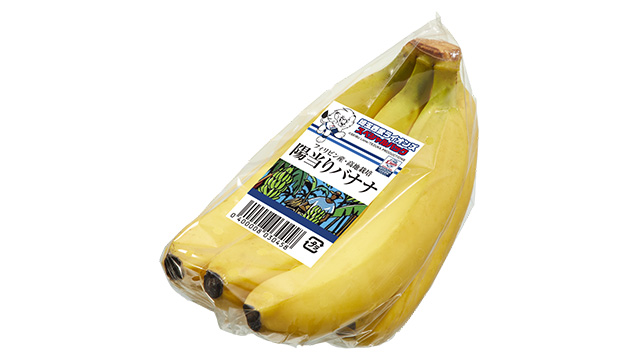 ここに画像が入ります