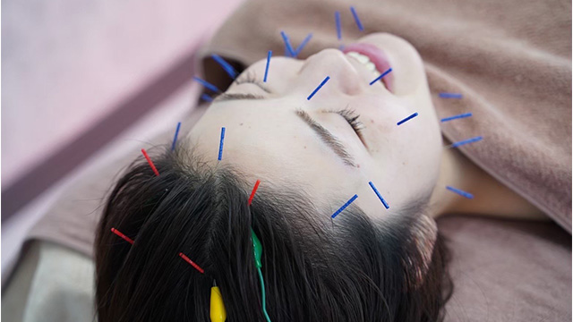 ここに画像が入ります