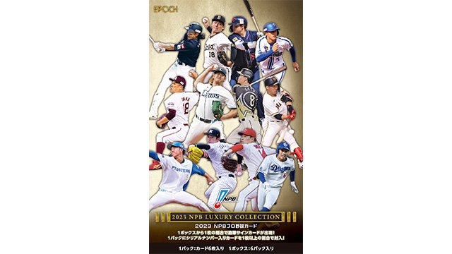 ここに画像が入ります