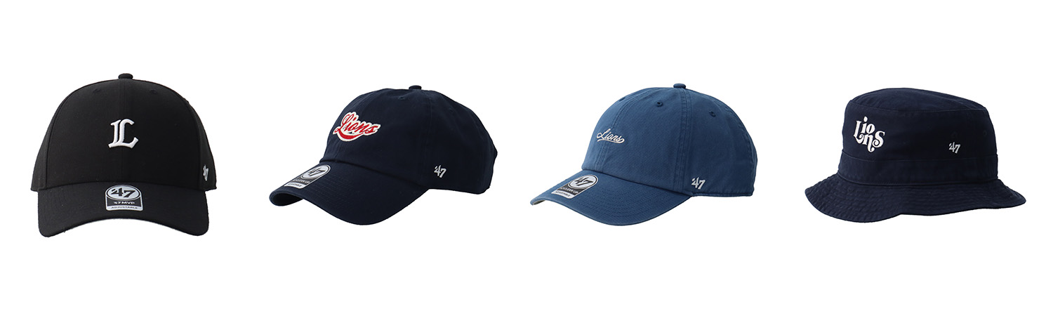 ここに画像が入ります