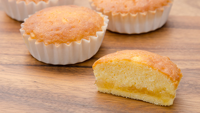 ここに画像が入ります