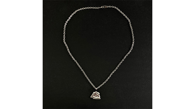 ここに画像が入ります