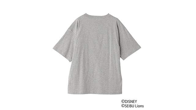 ここに画像が入ります