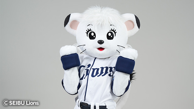 ここに画像が入ります