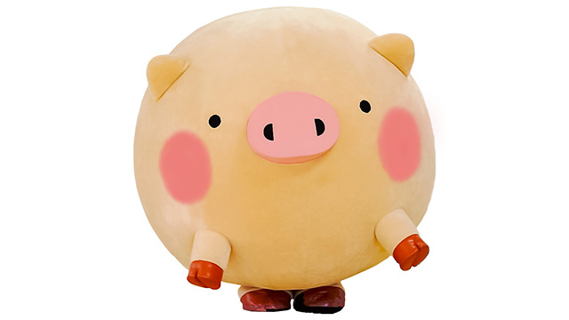 ここに画像が入ります