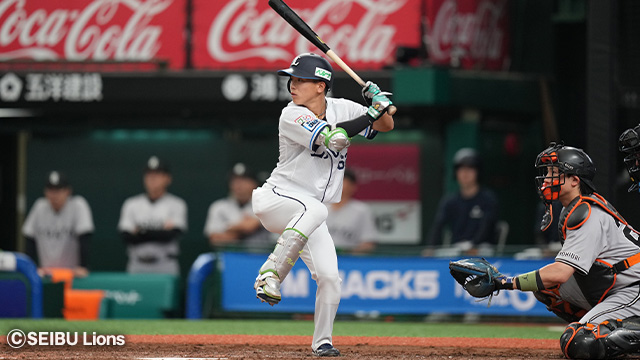 ここに画像が入ります