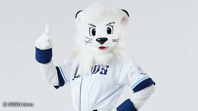 ここに画像が入ります