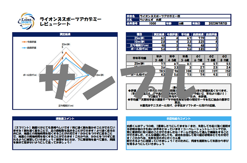 レビューシート