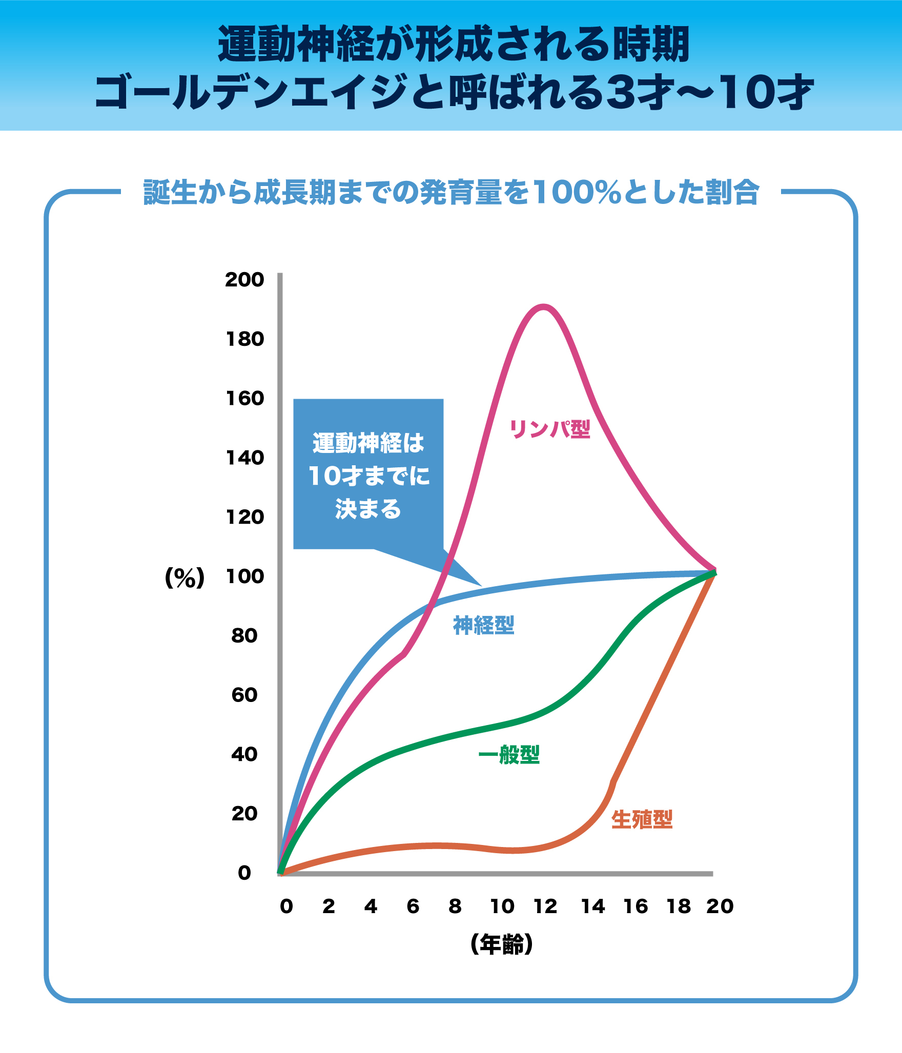 スキャモンの発育曲線