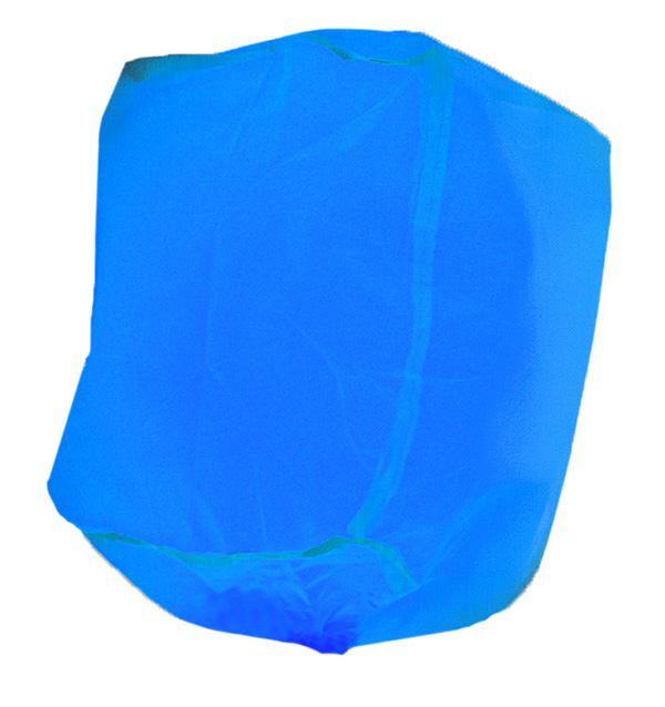 ここに画像が入ります