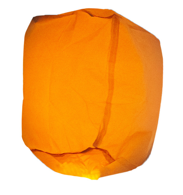 ここに画像が入ります