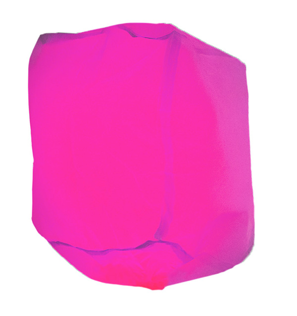 ここに画像が入ります