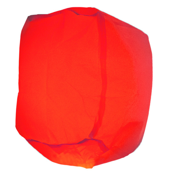 ここに画像が入ります