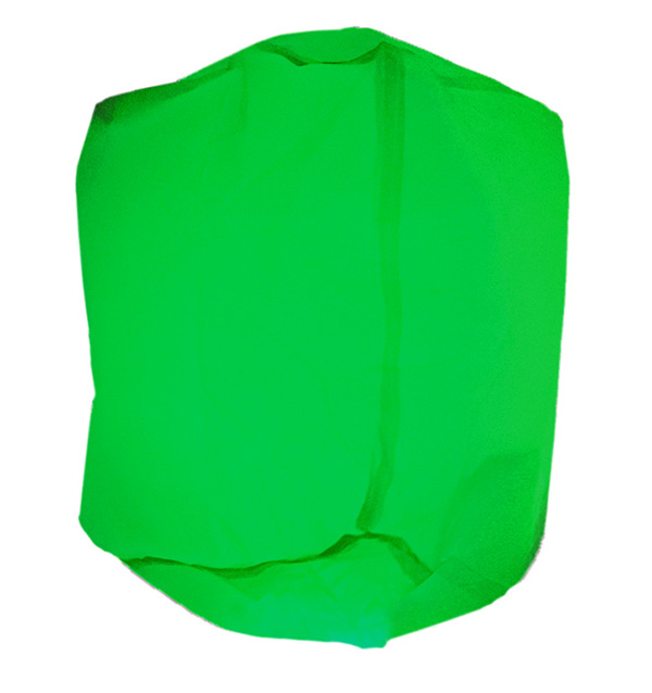 ここに画像が入ります