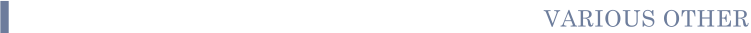野球開催日以外