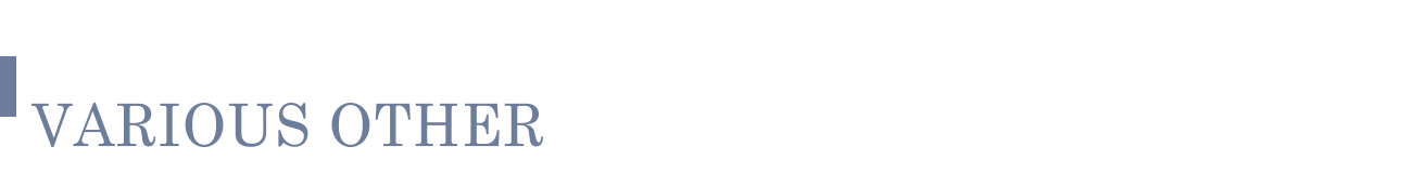 野球開催日以外