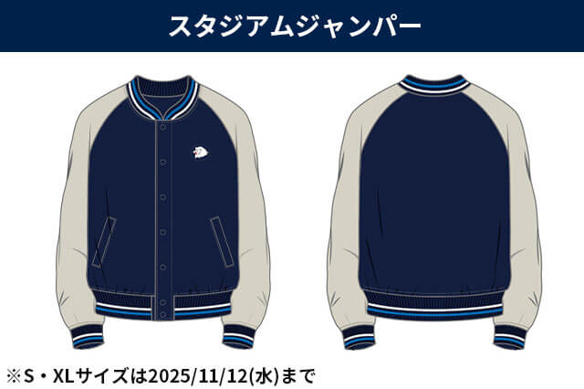 スタジアムジャンパー
