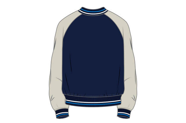 入会記念品 / ファンクラブ｜埼玉西武ライオンズ