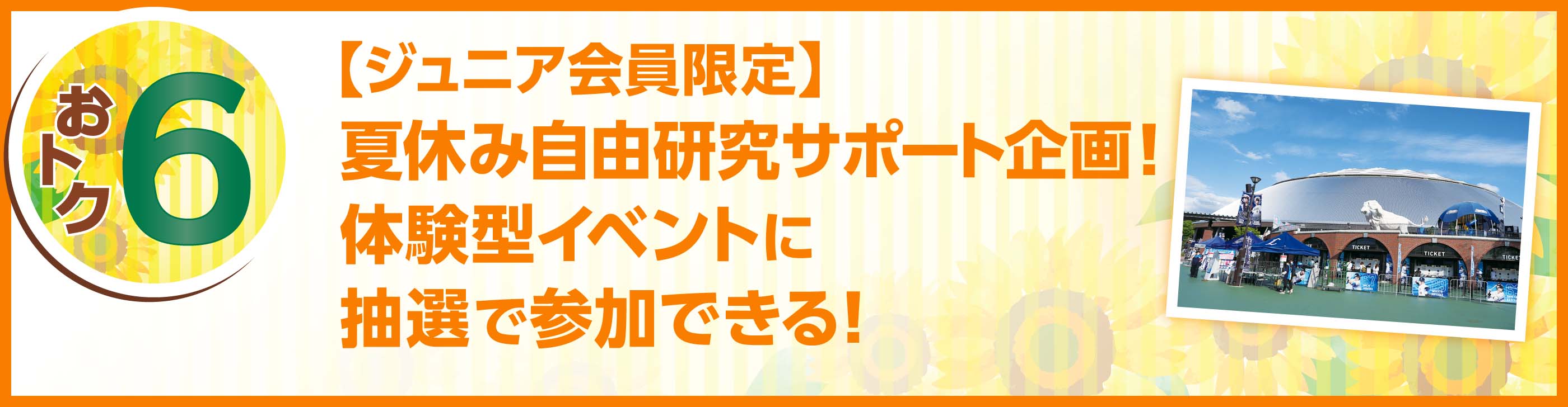 トク夏6