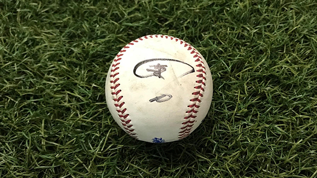 直筆サインボール